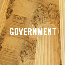 government